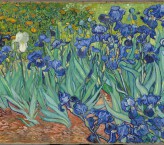Irises